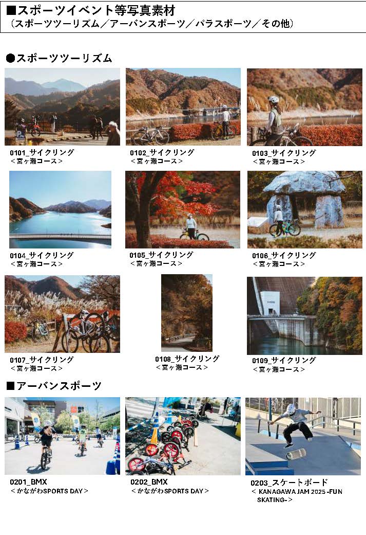 広報用スポーツ素材写真サンプル