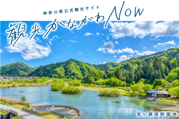 神奈川県公式観光サイト、観光かながわナウ。宮ヶ瀬湖畔園地の風景写真。