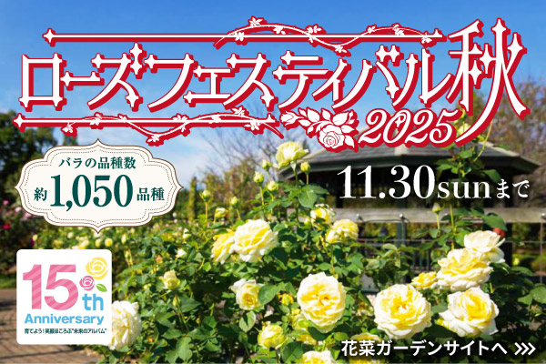 ローズフェスティバル2025秋。バラ約1050品種。  花菜ガーデンで11月30日(日曜)まで開催。15thAnniversar