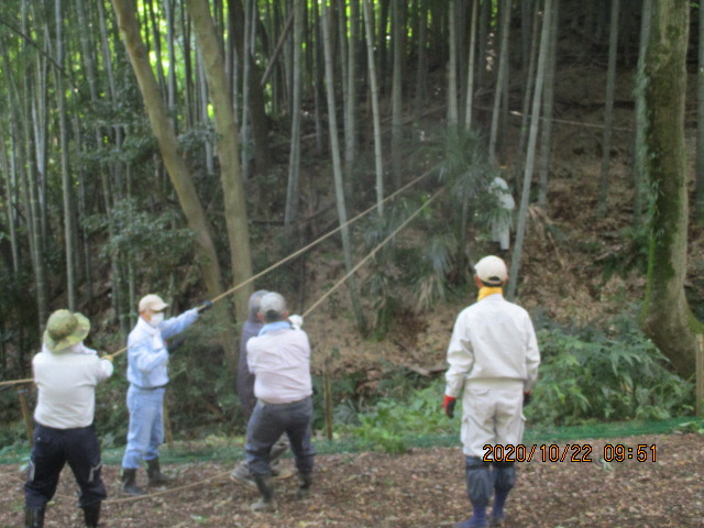 高津区市民健康の森を育てる会