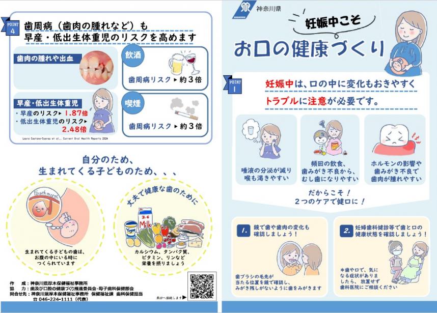 妊娠初期リーフレット表