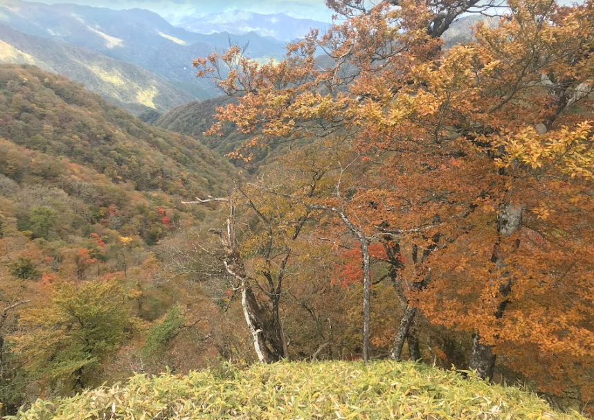 10月22日丹沢山山頂周辺
