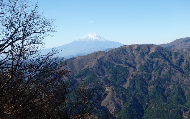 11月29日大山イタツミ尾根標高約1100メートル