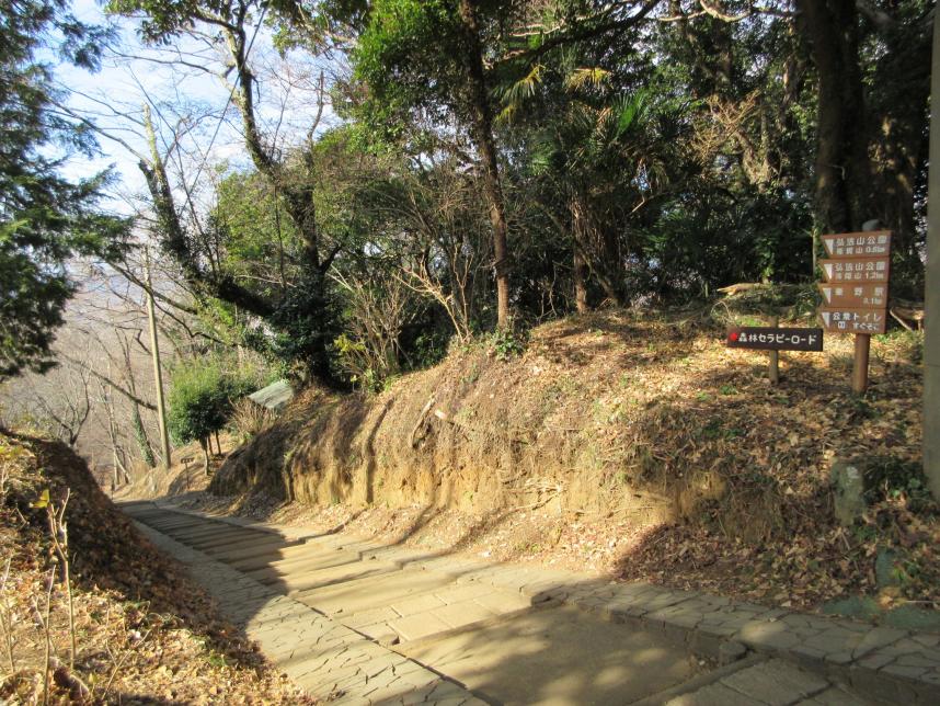 弘法山から下りる階段