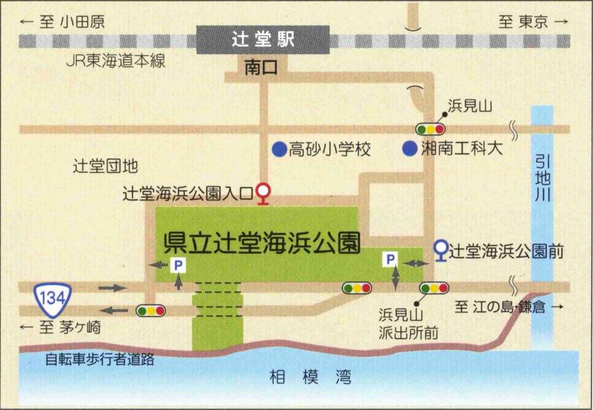 辻堂海浜公園地図