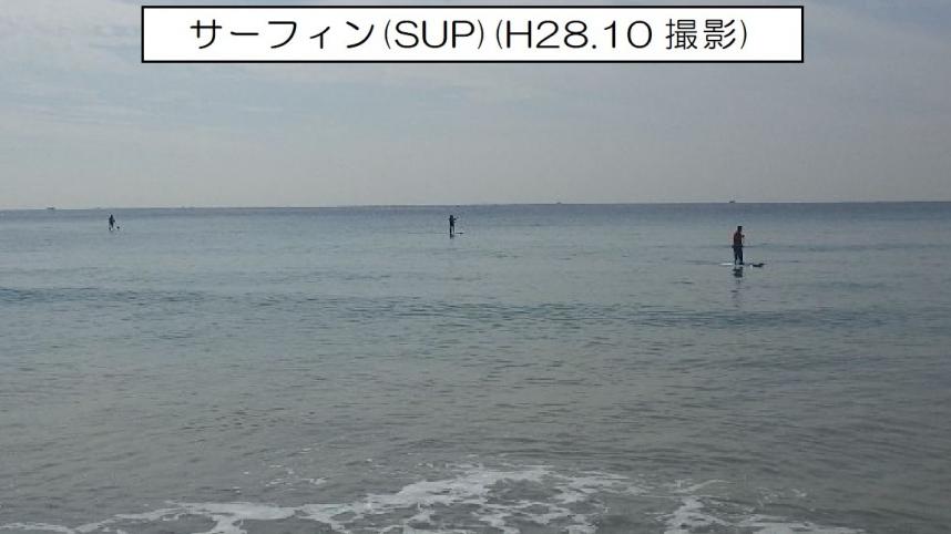 横須賀海岸秋谷地区の養浜後の利用状況（サーフィン）