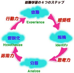 図：体験学習の4つのステップの解説