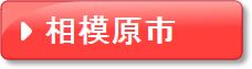 相模原(ピンク)
