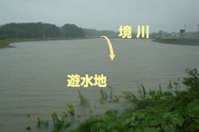 下飯田遊水地洪水時