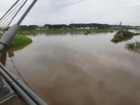 鷺舞橋より下飯田遊水地を望む