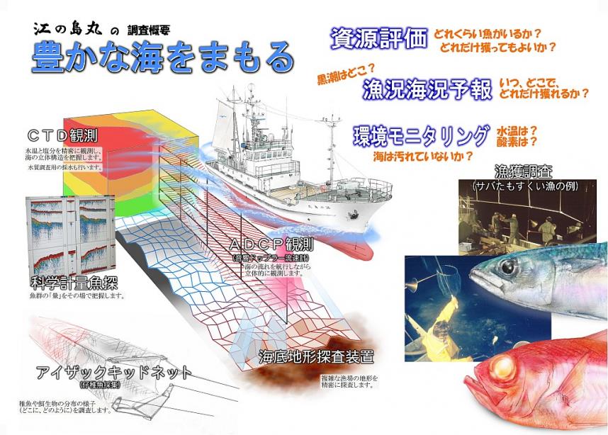 江の島丸の調査概要