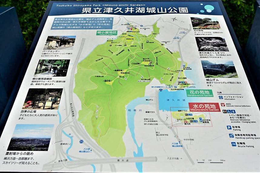 津久井湖・水の園地風景