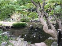 松籟庵の池の写真