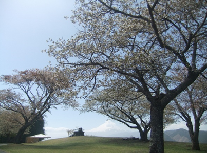 大野山