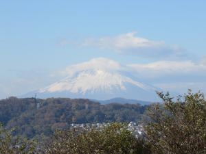 旧三井別邸地区7