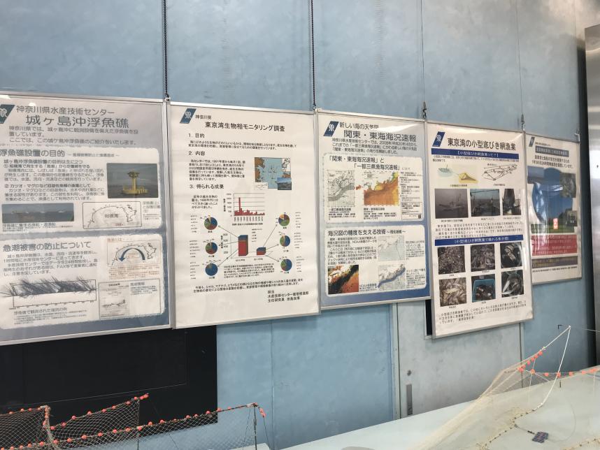 写真　パネル展示：研究成果等のポスター