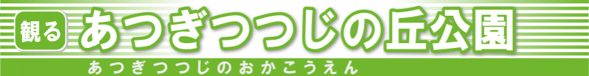 あつぎつつじの丘公園