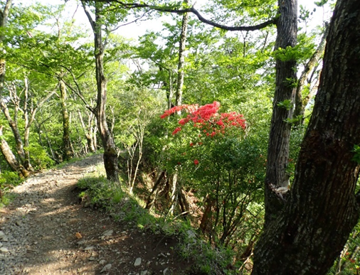 堀山の家周辺