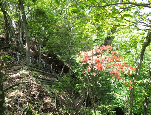 高畑山山頂周辺