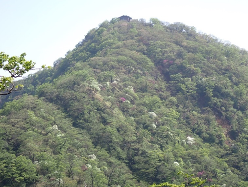 塔ノ岳山頂周辺