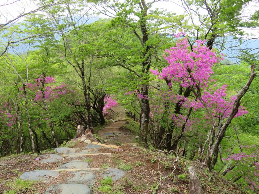菰釣山山頂周辺