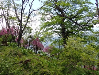 6月5日蛭ヶ岳山頂