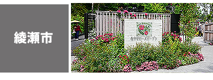 観る（綾瀬市）