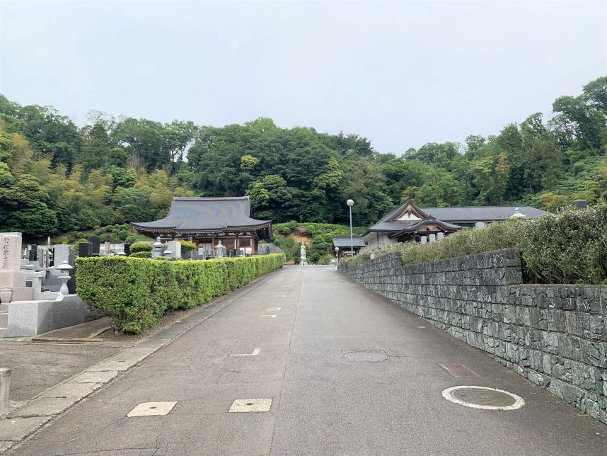 全景