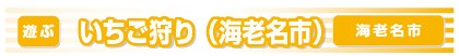 いちご狩り（海老名市）バナー