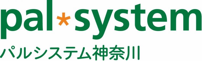 palsystem