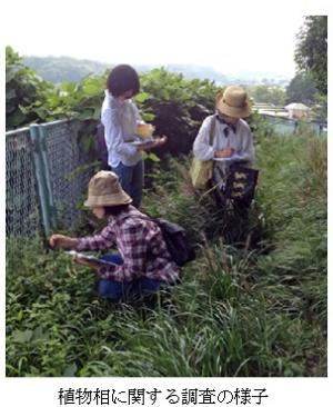 植物相の調査