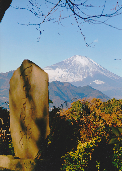 富士見塚からの富士の写真