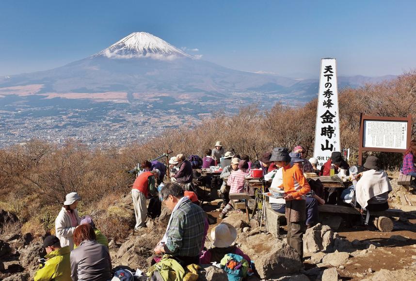 金時山からの富士の写真