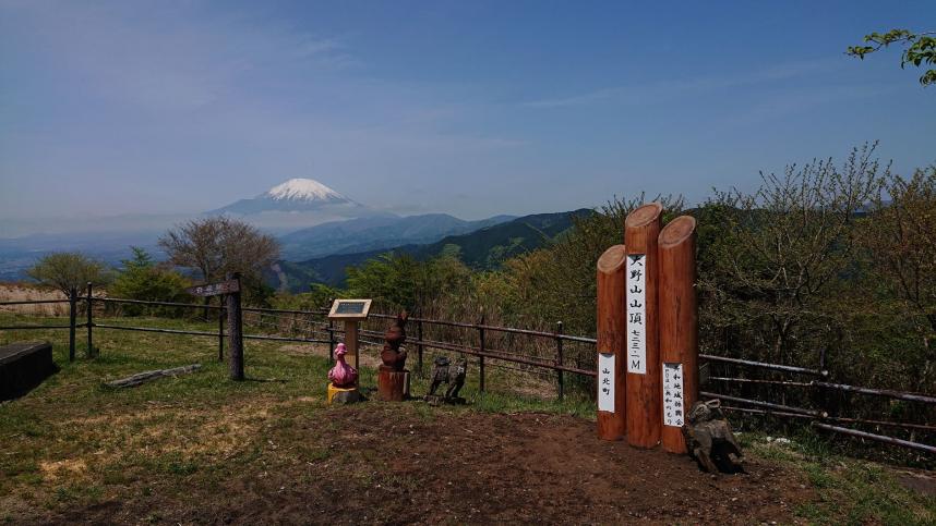 大野山からの富士山