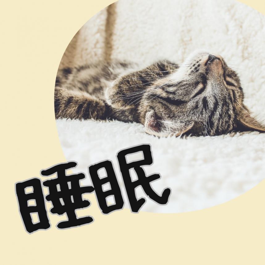 睡眠