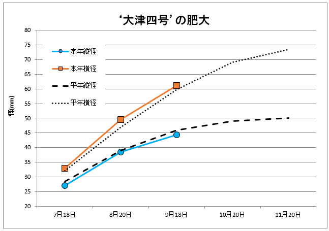 大津肥大