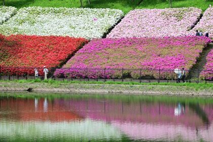 つつじの丘公園の湧水池周辺2