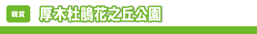 厚木杜鵑花之丘公園