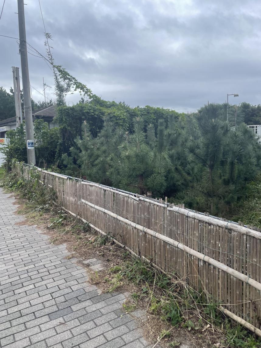 作業後道路