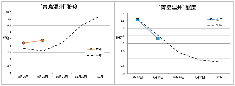 青島品質