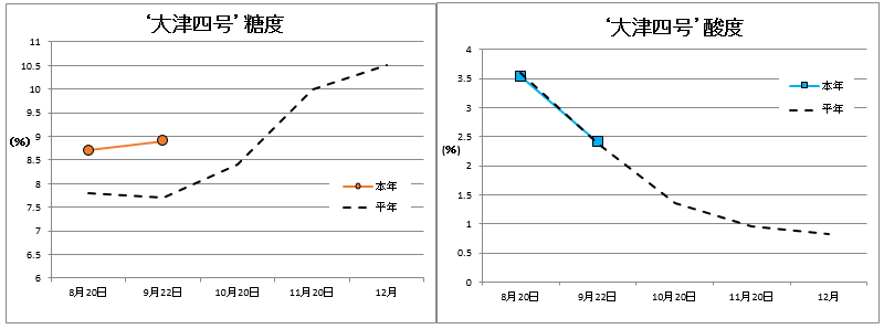 大津四号品質