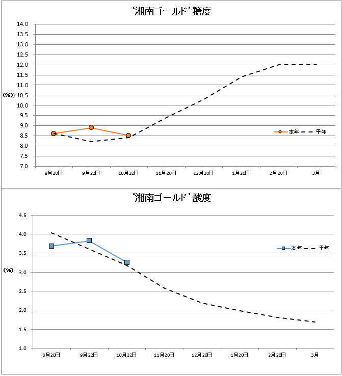 湘南ゴールド果実品質