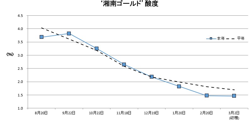 湘南ゴールド酸度