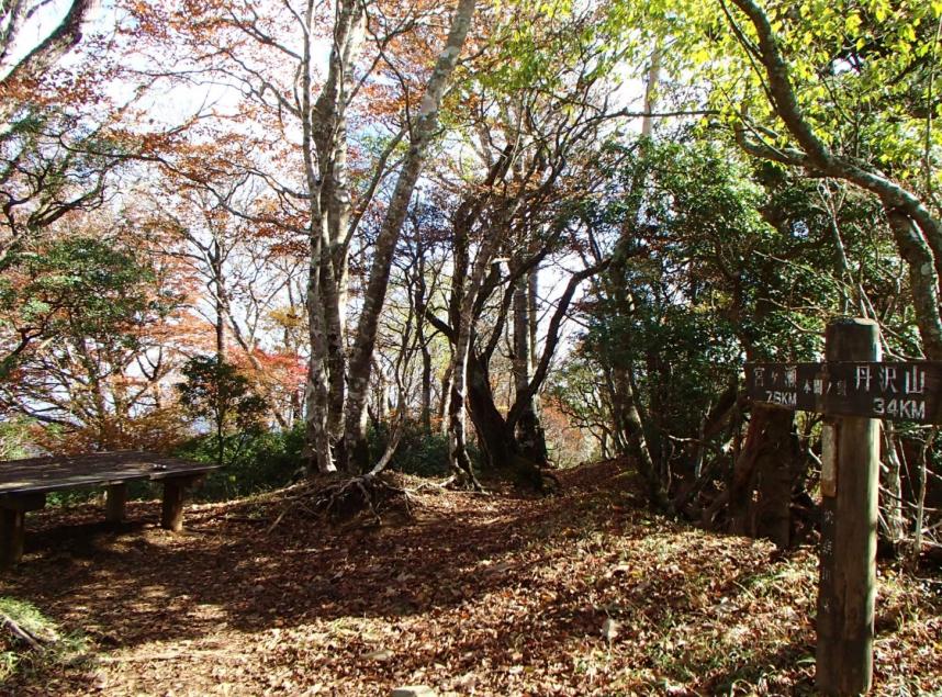 111001_tansanpo_honmanoatama