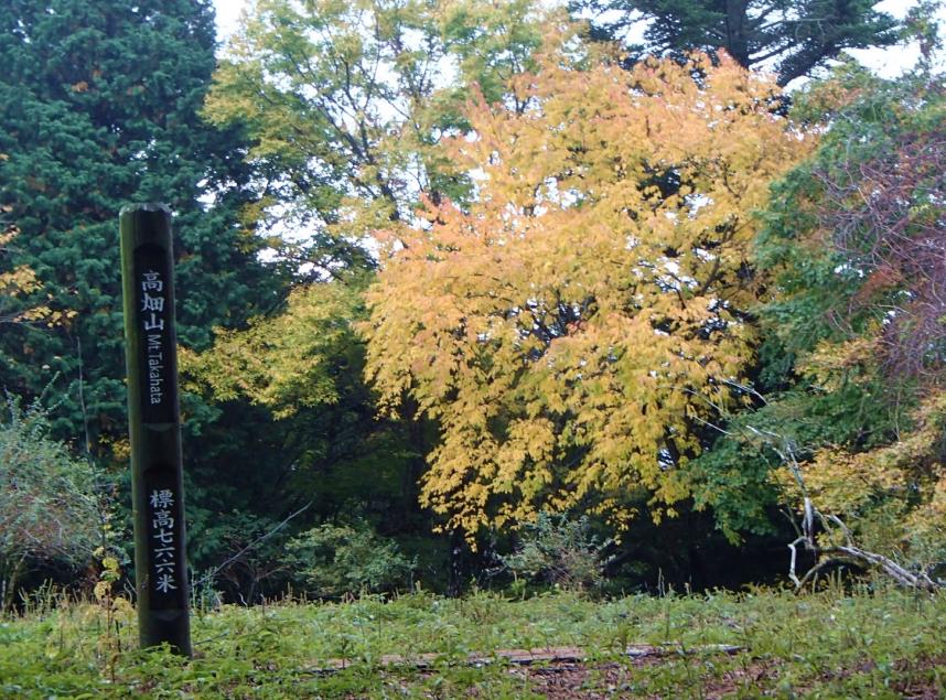 111002_tansanpotakahatayama