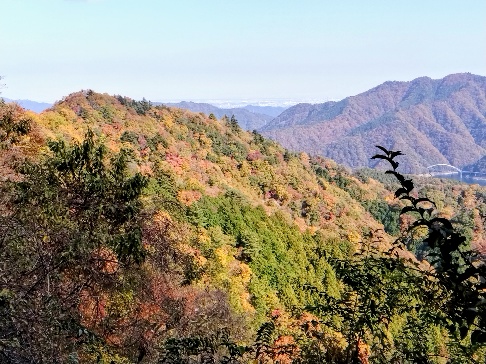 令和7年11月16日高畑山御殿森ノ頭