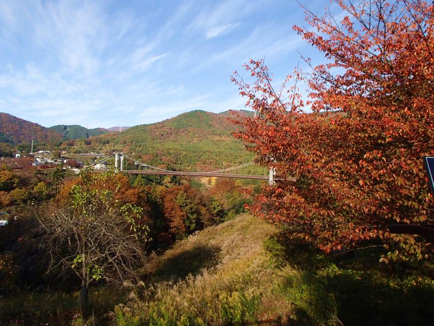 11月24日大倉標高290メートル散り始め