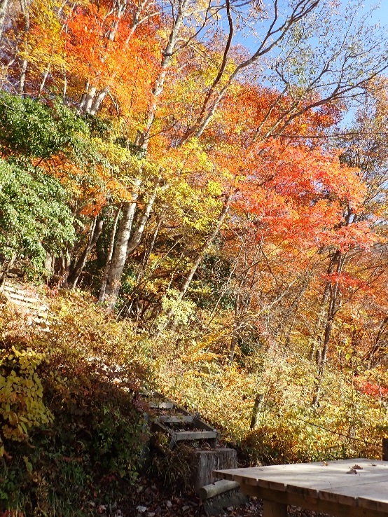 令和7年11月14日つつじ新道展望園地