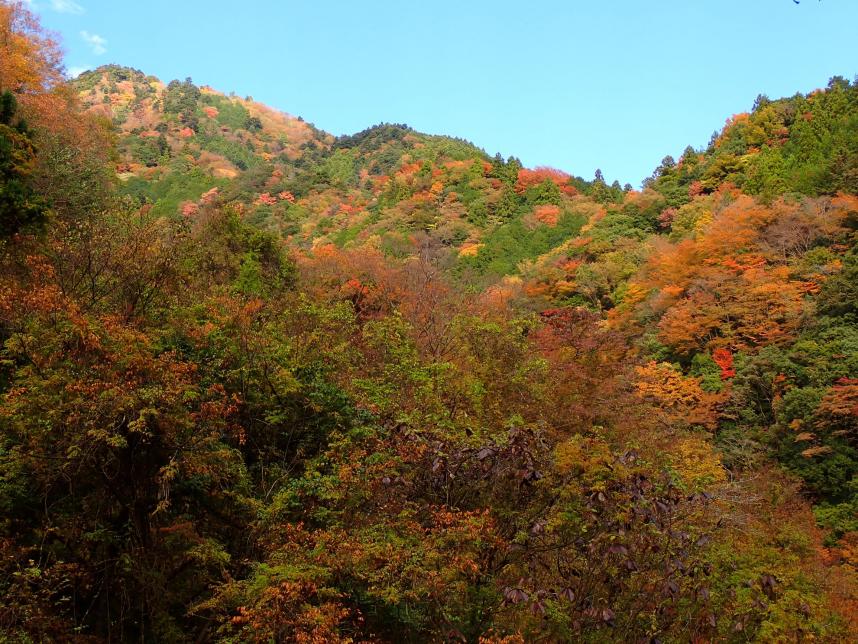 251112塩水橋周辺