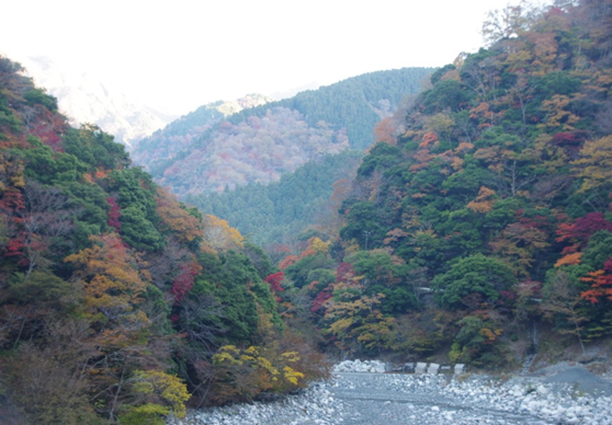 11月21日丹沢湖玄倉の紅葉